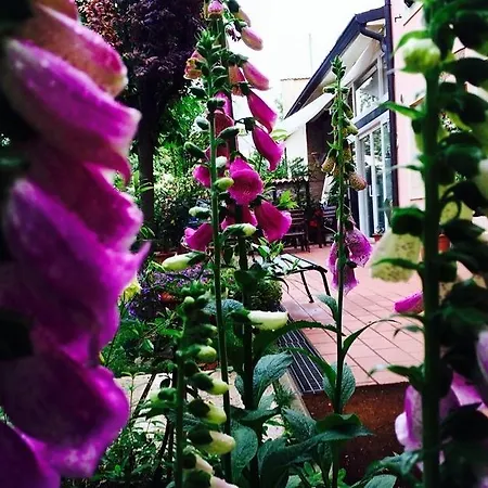 Bed and breakfast Franca Villafranca di Verona